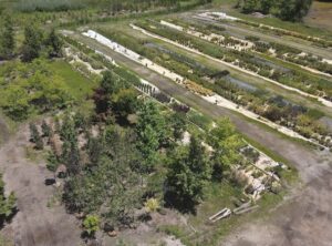 sugarloaf-landscape-nursery-1