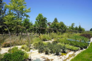 sugarloaf-landscape-nursery-13