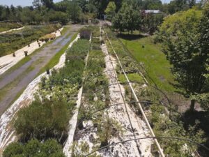 sugarloaf-landscape-nursery-2