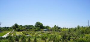 sugarloaf-landscape-nursery-23