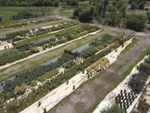sugarloaf-landscape-nursery-3
