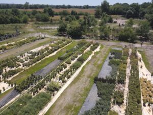 sugarloaf-landscape-nursery-4