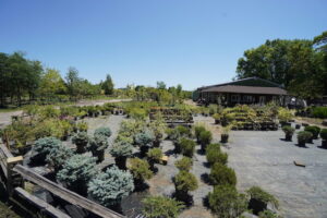 sugarloaf-landscape-nursery-5