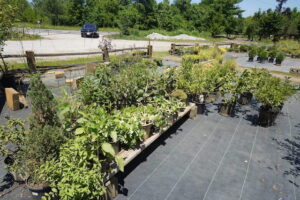 sugarloaf-landscape-nursery-9