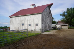 DSC00875