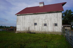 DSC00877