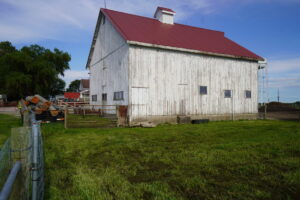 DSC00879