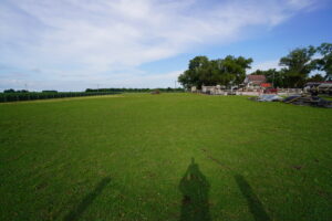 DSC00880