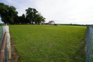 DSC00883
